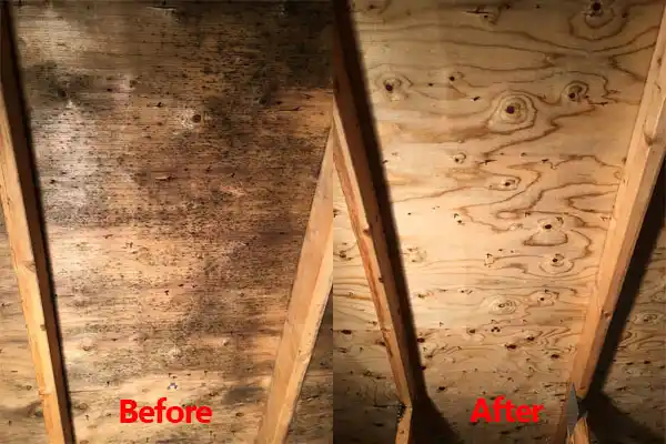 water damage restoration service Bath